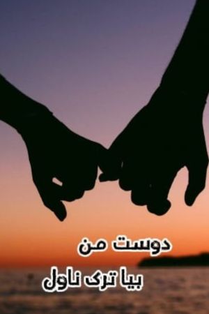 Dost e Man Novel by Biya Turk