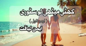 khatti Meethi Love Story